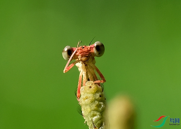 DSCF4133.JPG