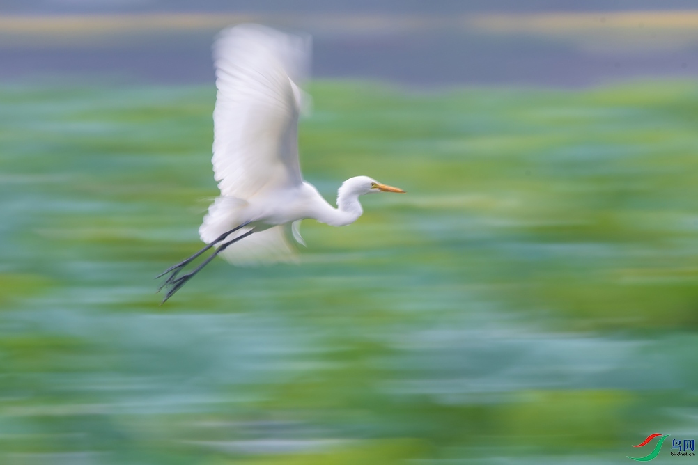 _DSC8507a.jpg