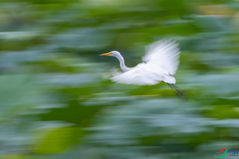 _DSC9125a.jpg