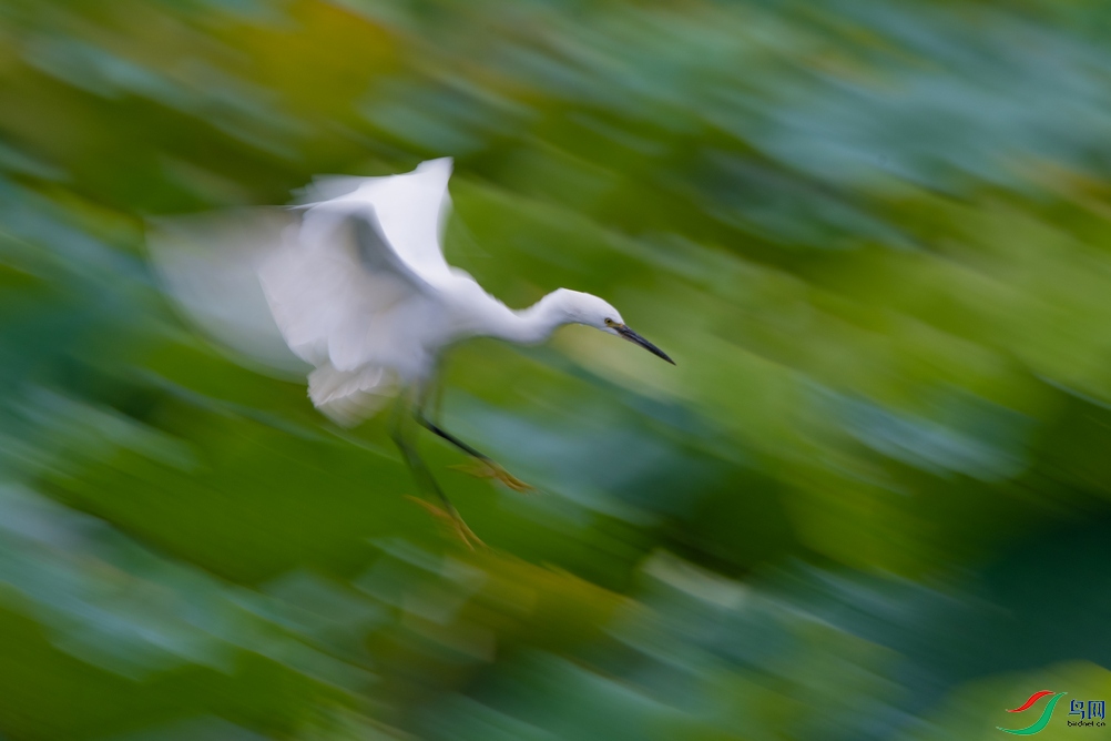 _DSC9429a.jpg