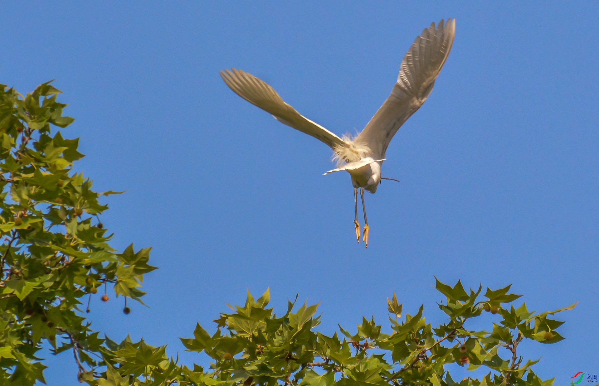 DSC_0455.jpg