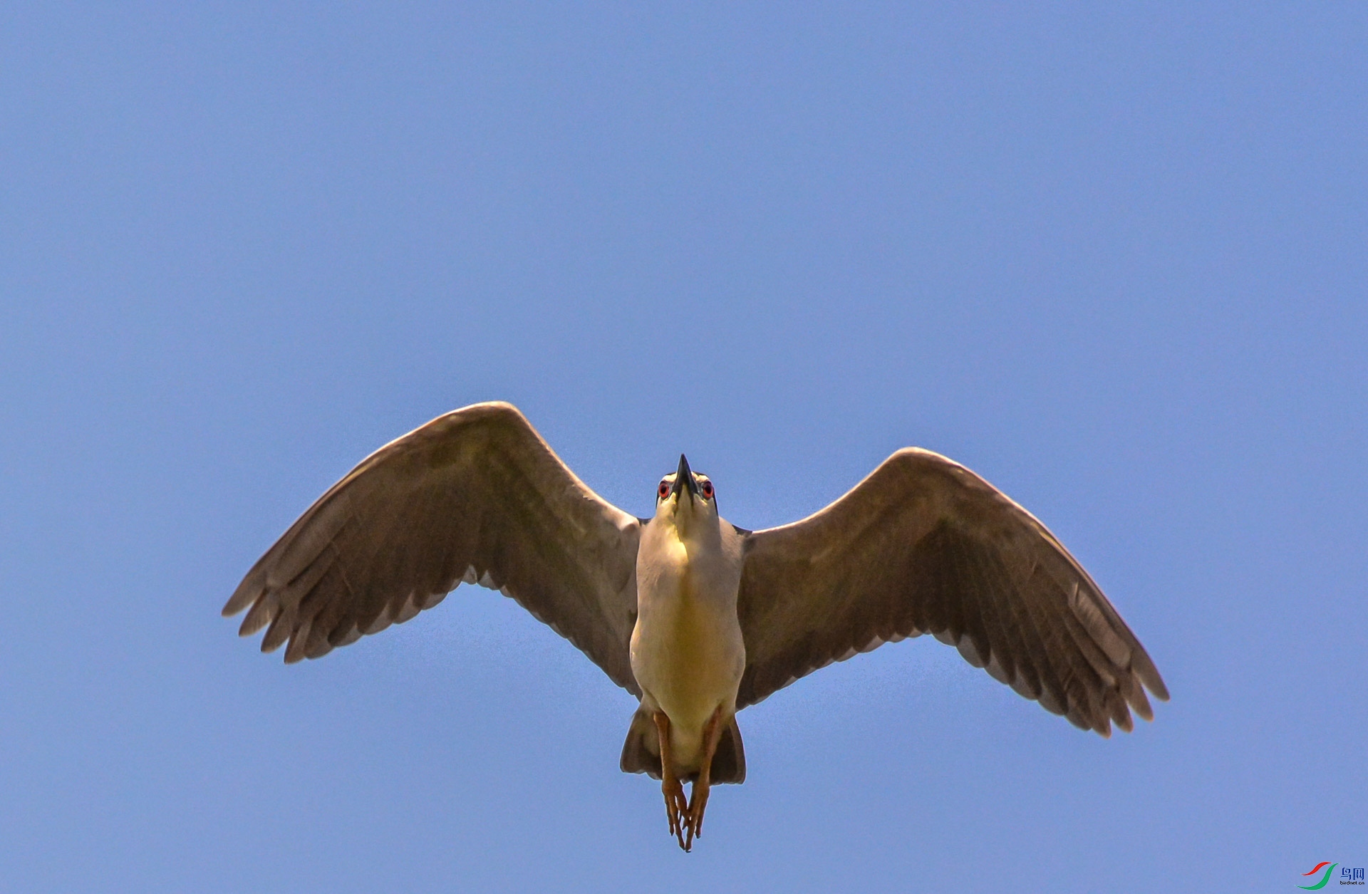 DSC_0463.jpg