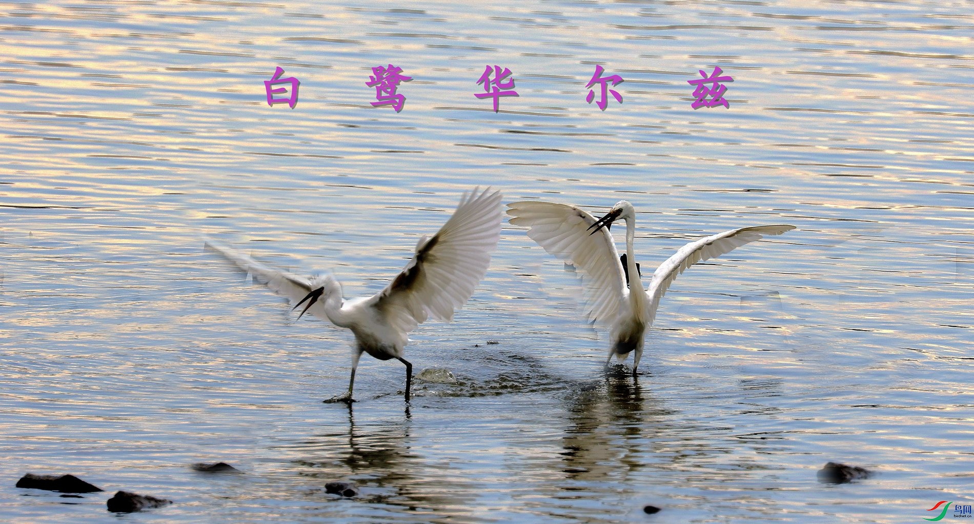 _L3A6983_����_����.jpg