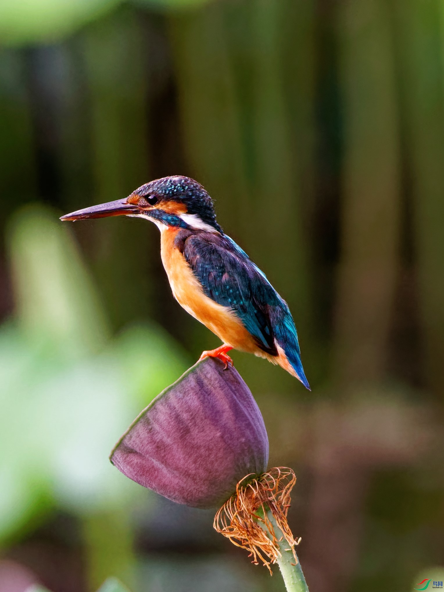 ���칬�ɻ��ؾ���15������