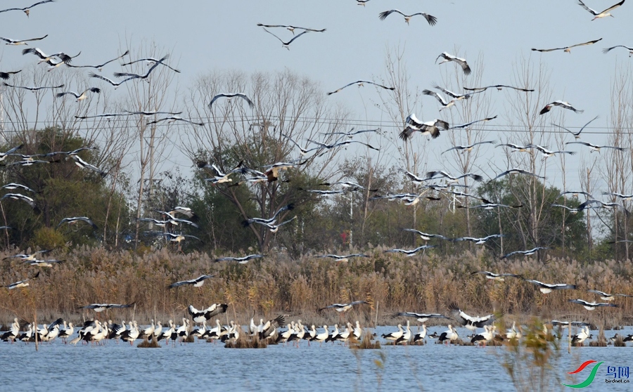 Ǩ���еİ���