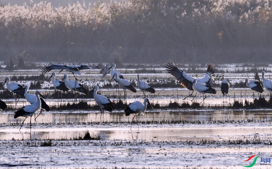 Ǩ���еİ���