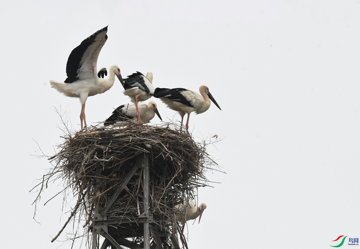 ��ѹ�߸��ϵİ���