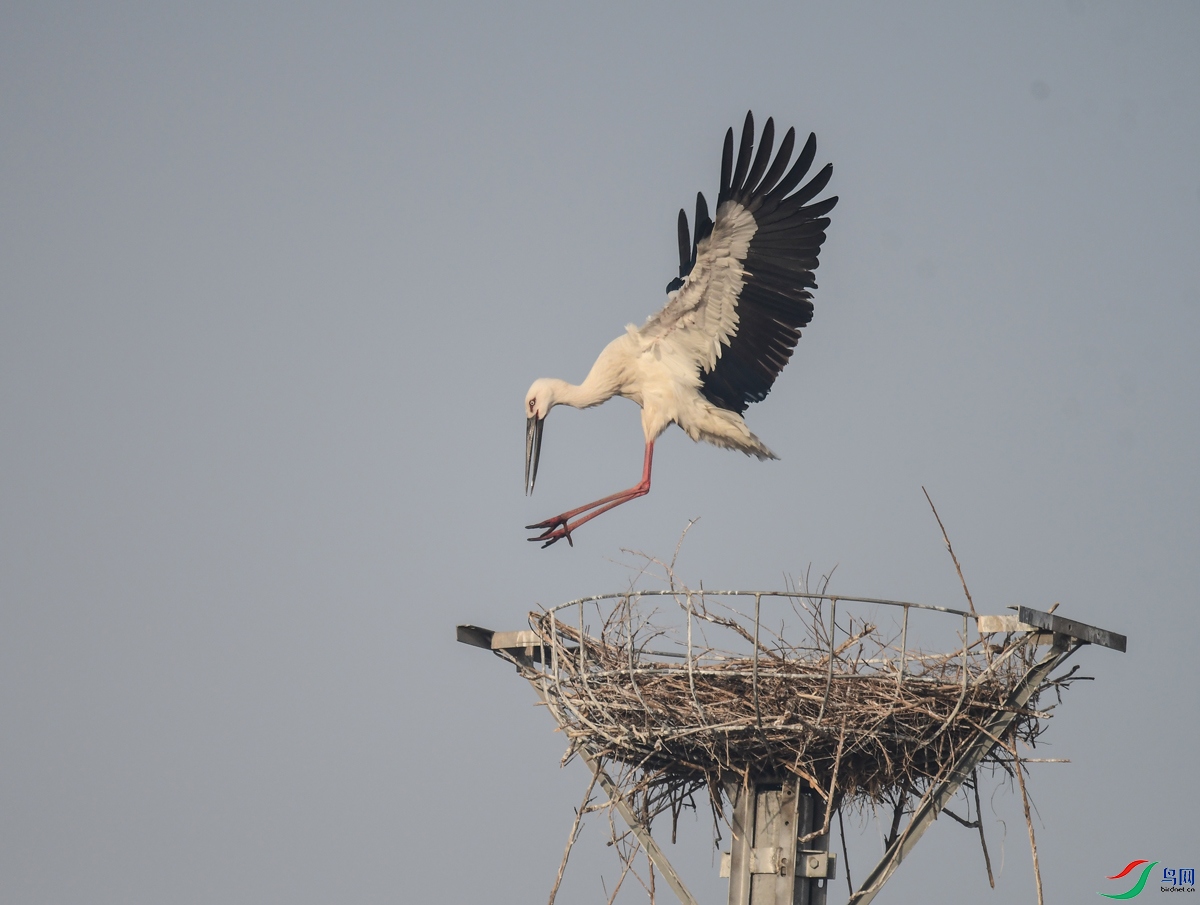 �˹����ϵİ���