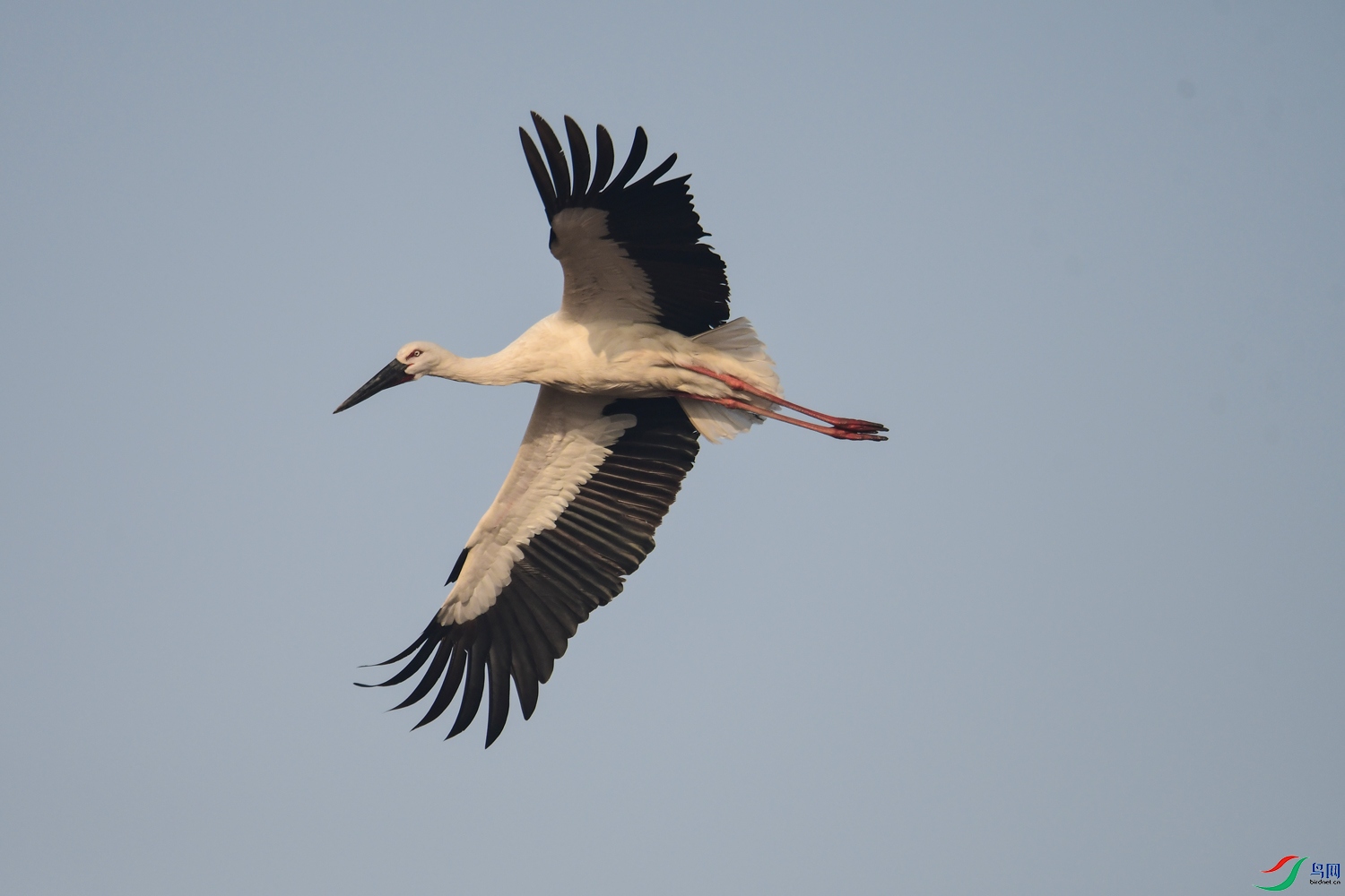 �������ɰ���