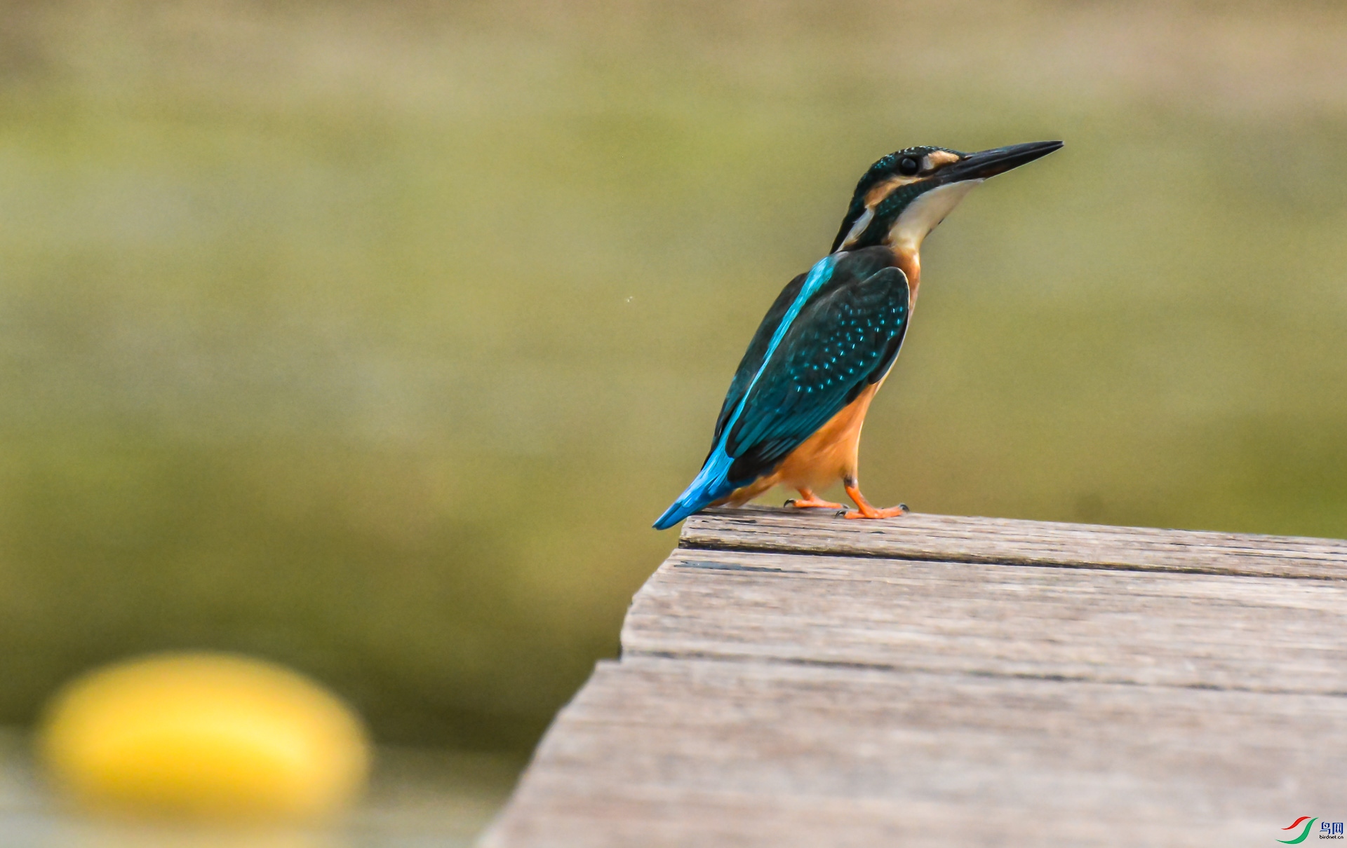 DSC_4163.jpg