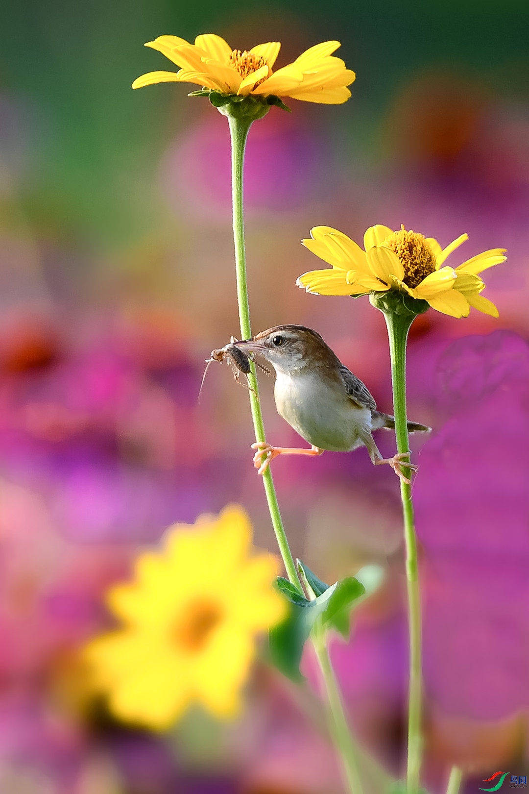 DSC_7494.jpg��2��4.jpg
