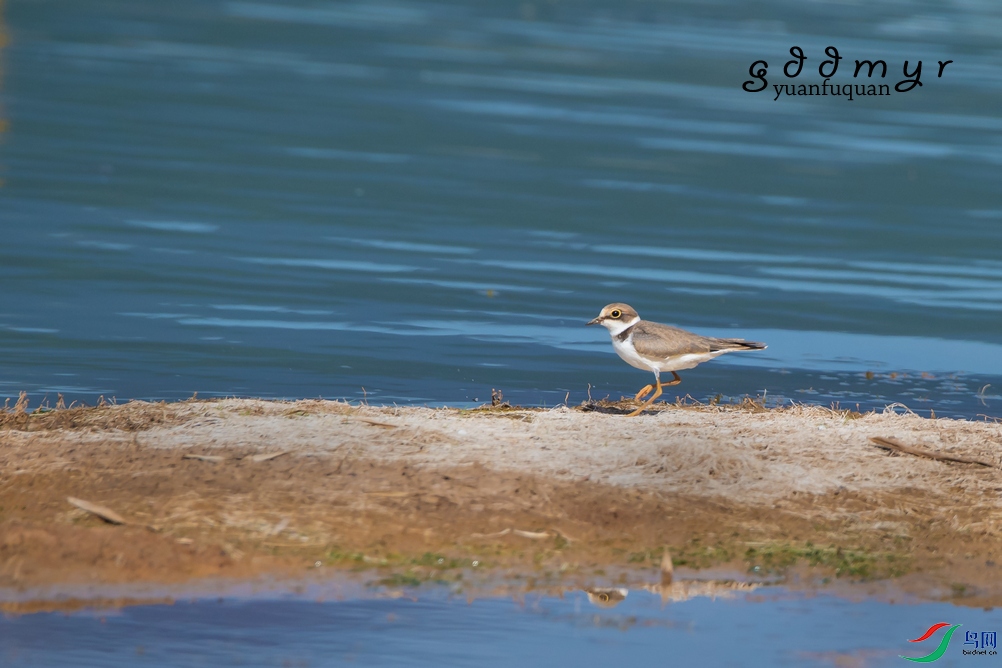 DSC_6092a.jpg