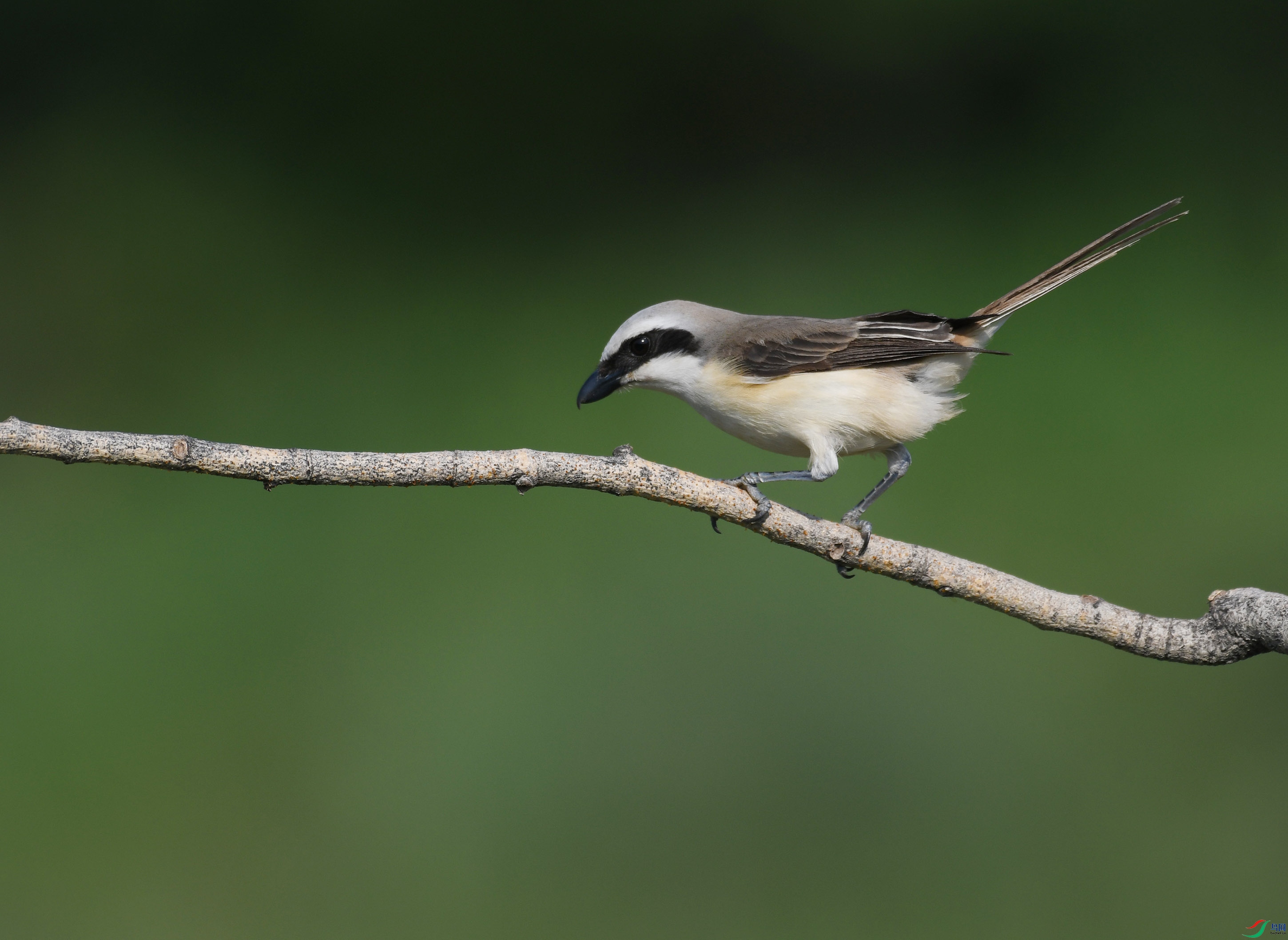 ������Ӱ 179����.jpg