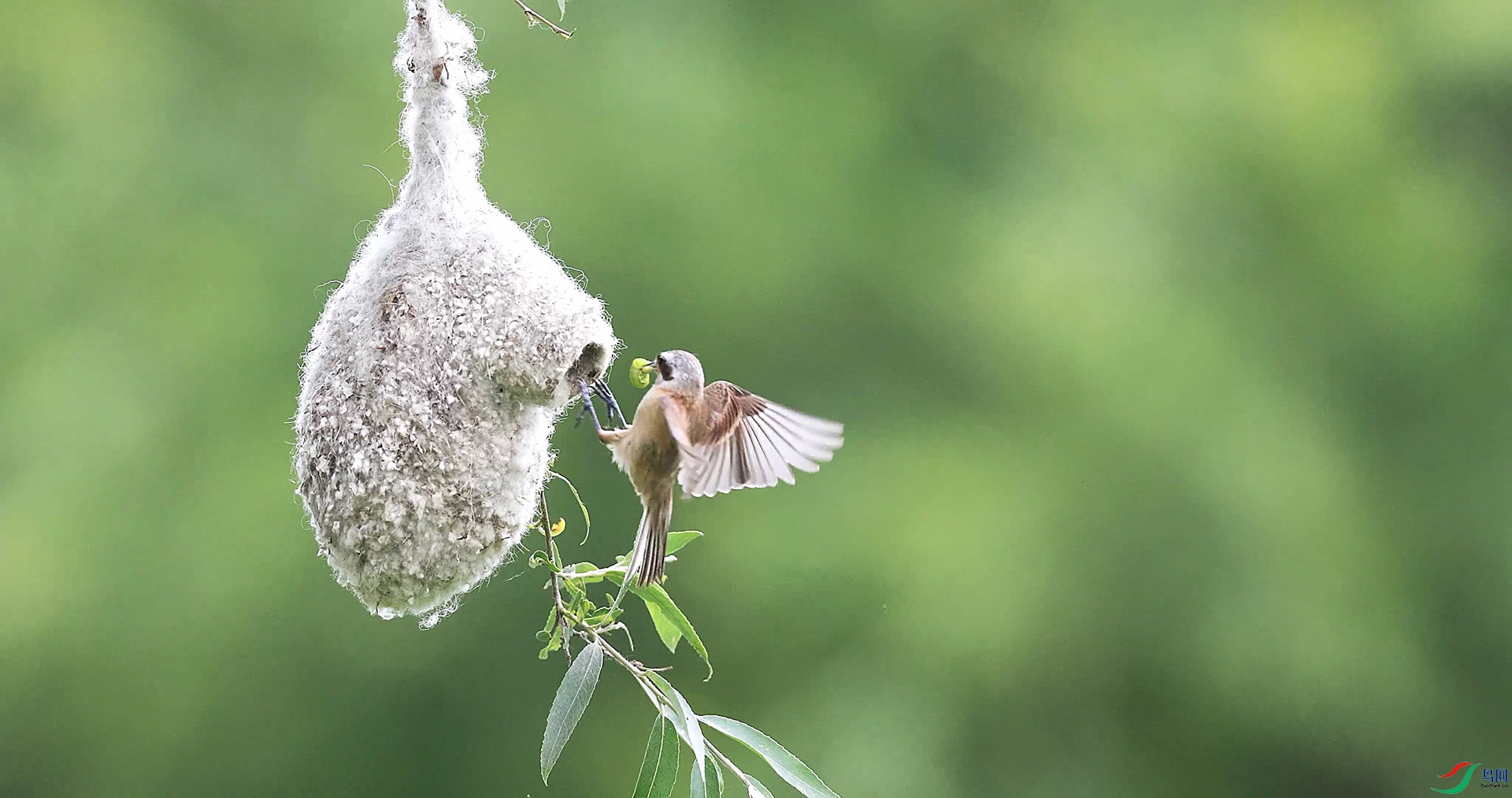 �л���ȸ��4k��.00_00_08_59.Still001 ����.jpg