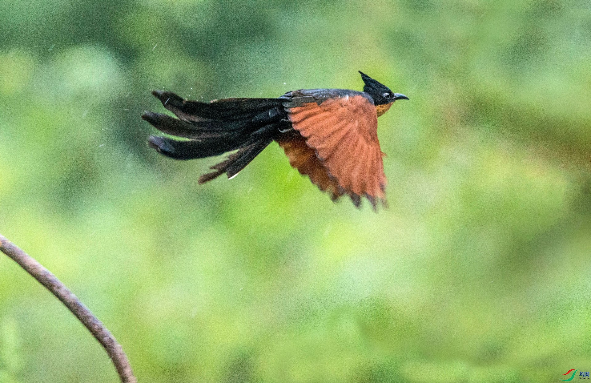 BW4Q4074 - ����.jpg