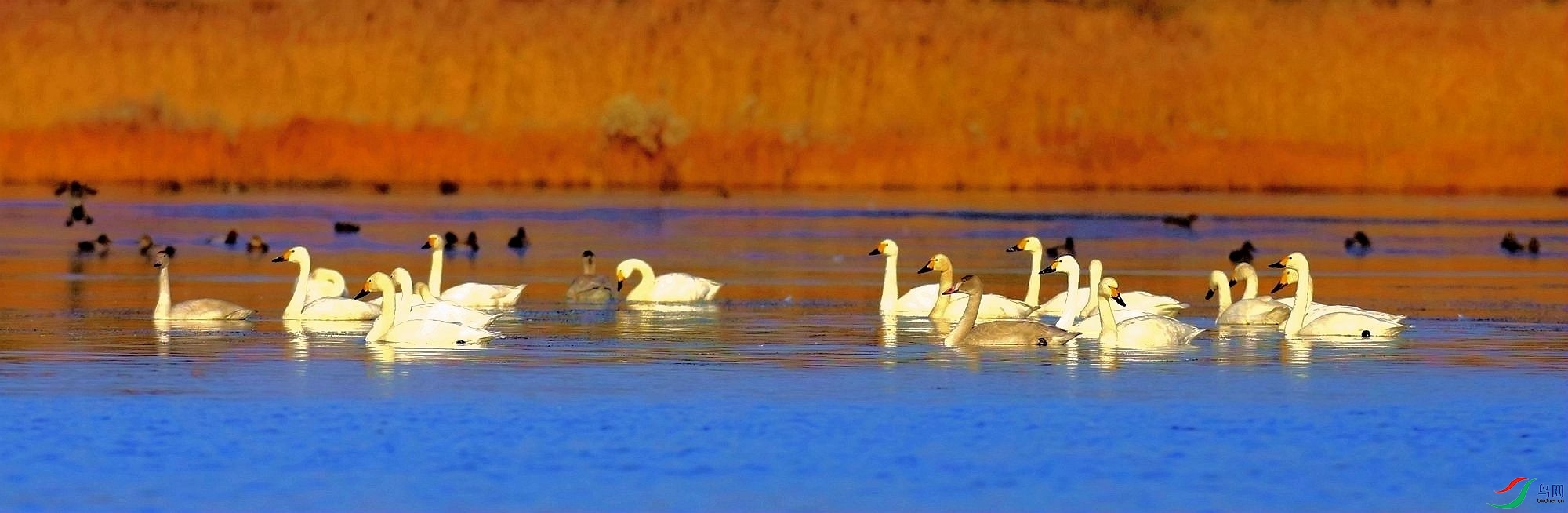 _MGM0013 2000_����.jpg