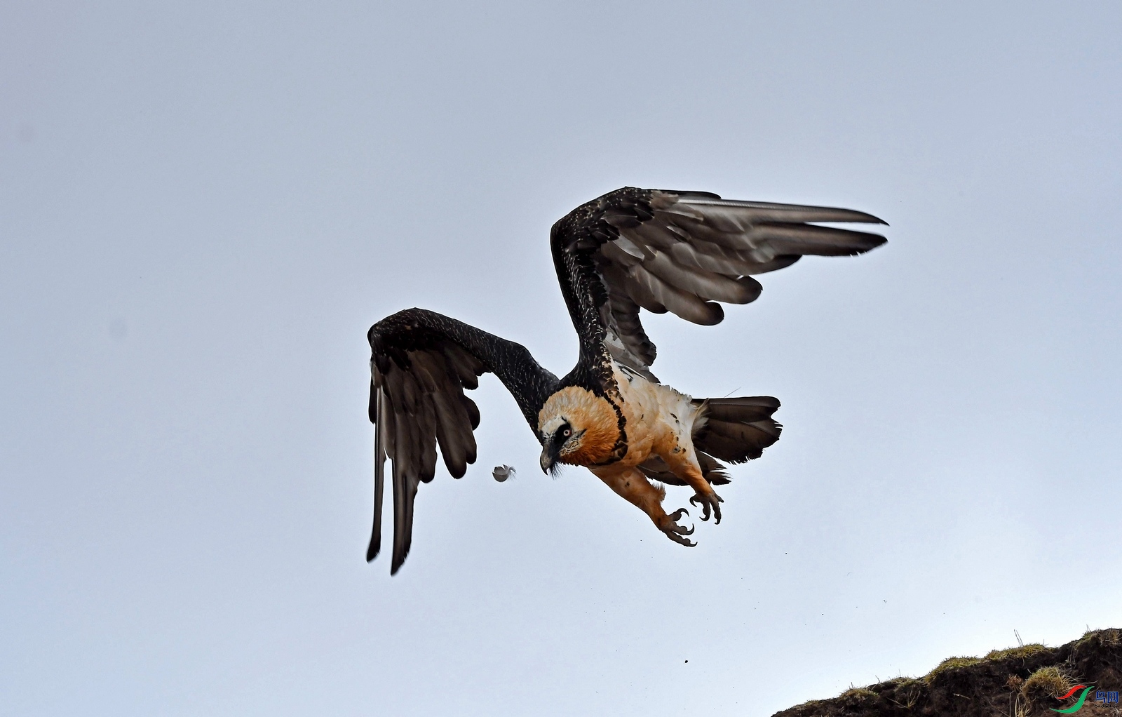 DSC_0337.JPG