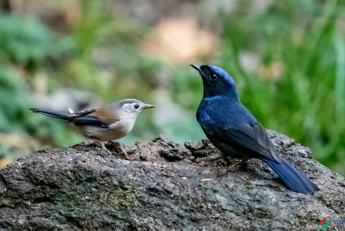 DSC_1503.jpg