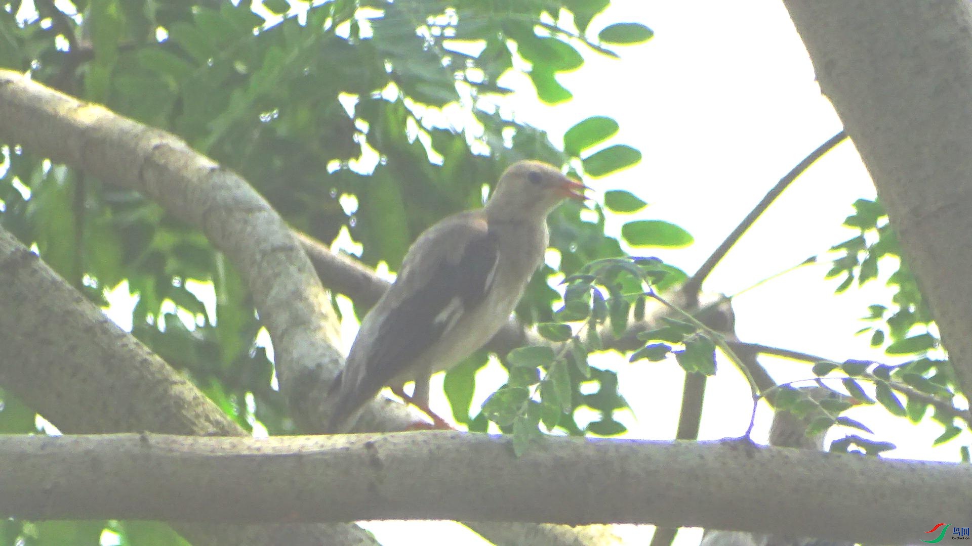 DSC02302_���ٿ�ͼ.jpg