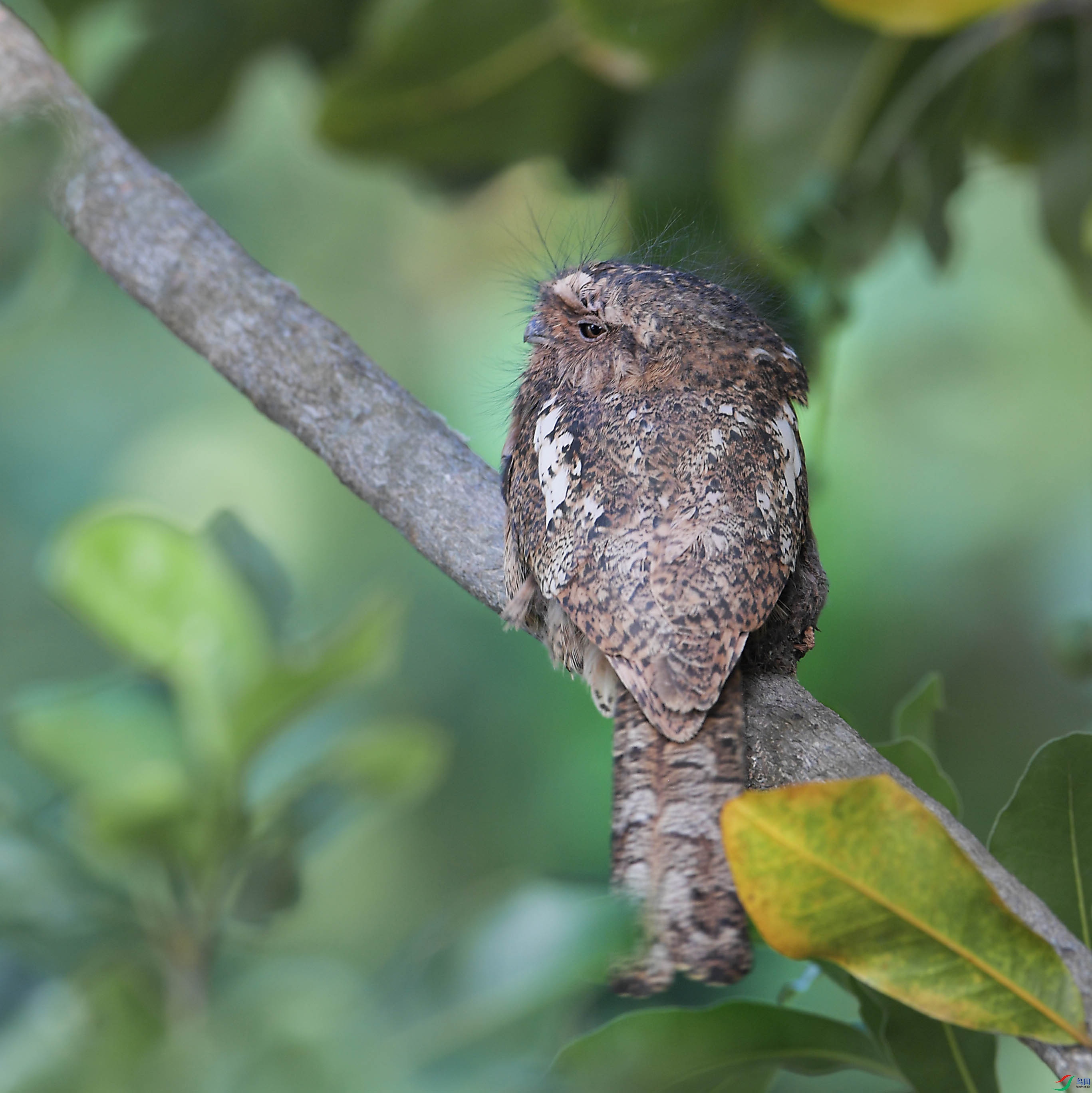 DSC_70571.jpg