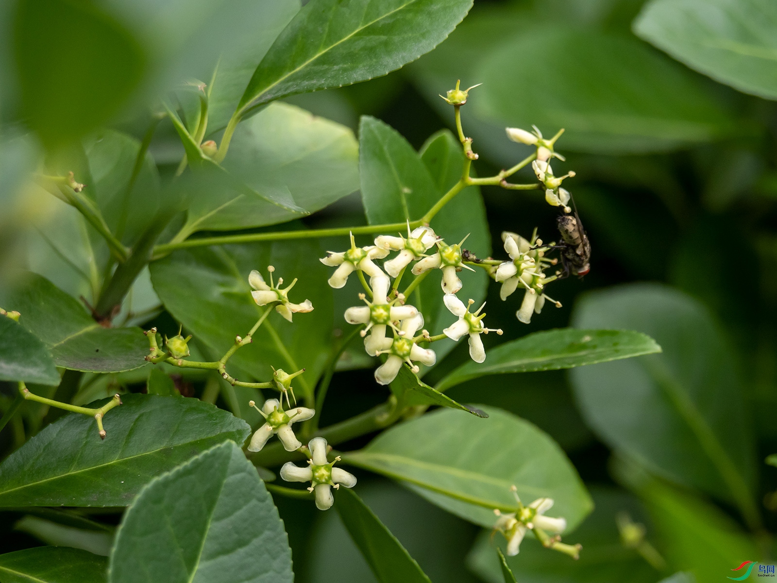 ������ì����