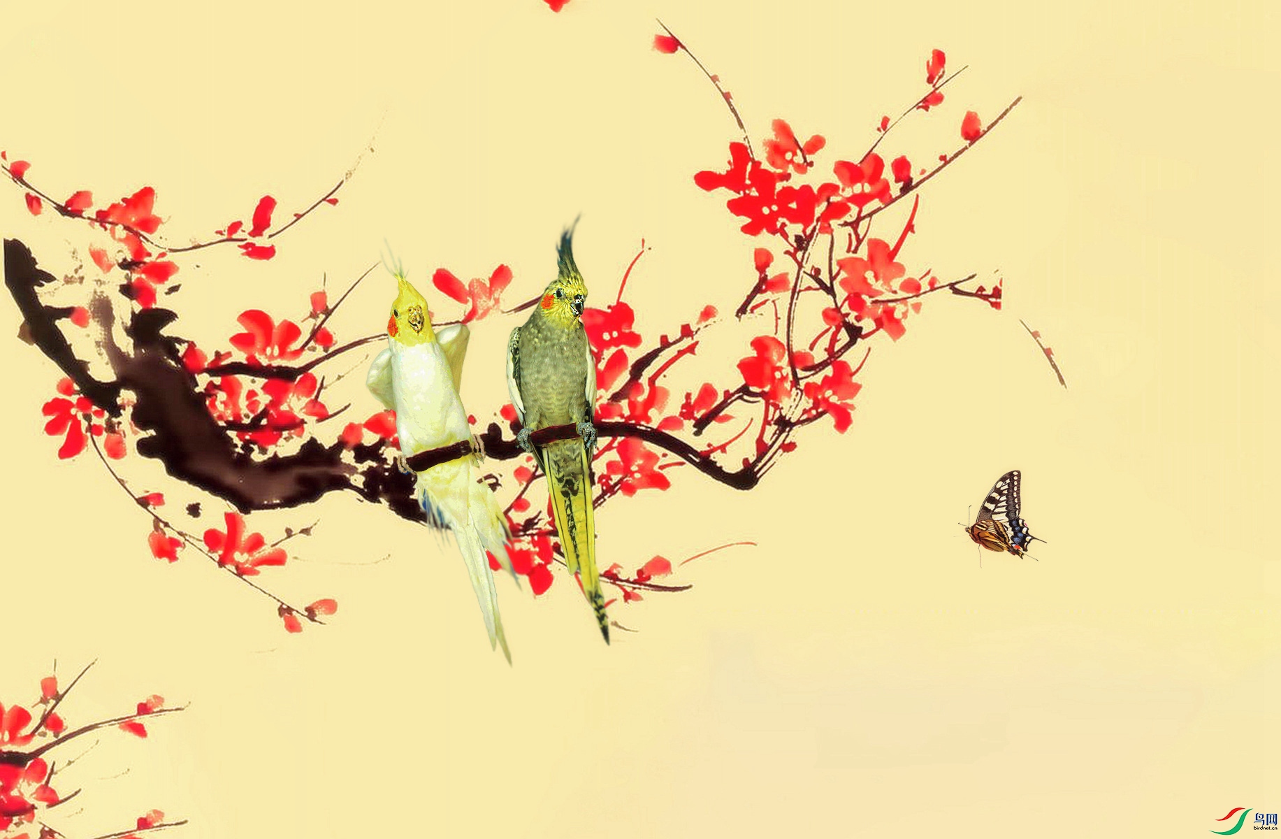 �Ҽҵ���.jpg