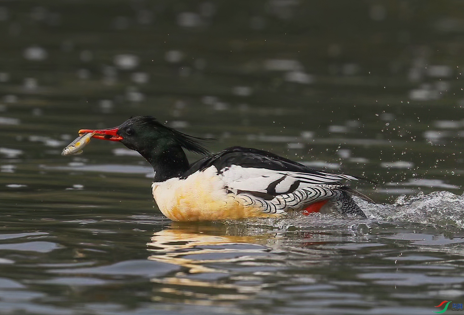 psc (9)�л���ɳѼ.jpg