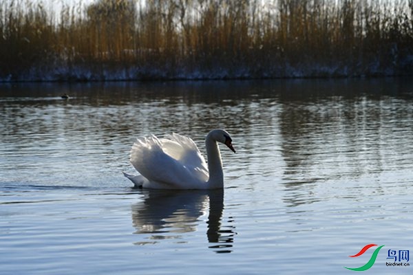 File0000079323.jpg