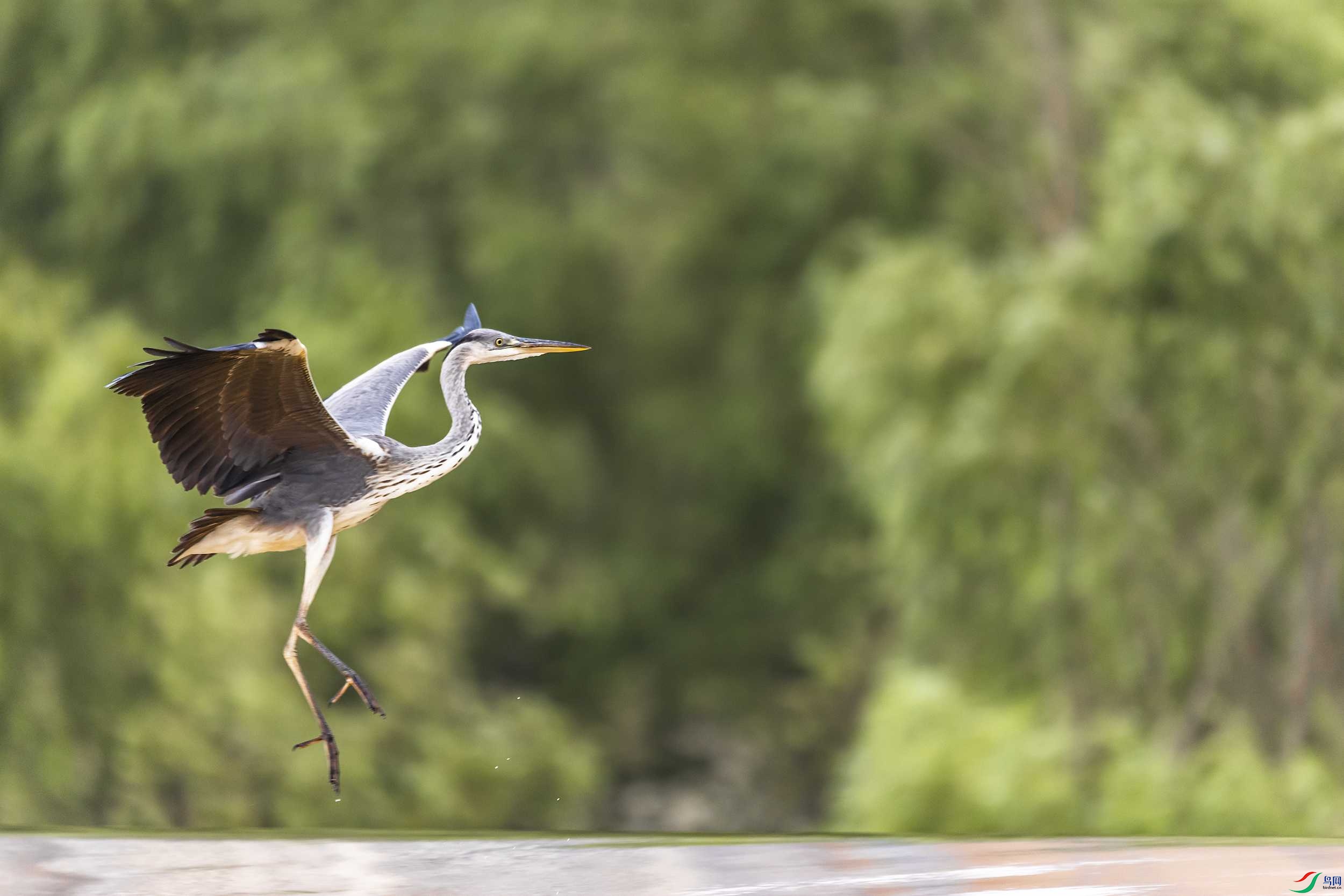 278A9367 ����.jpg