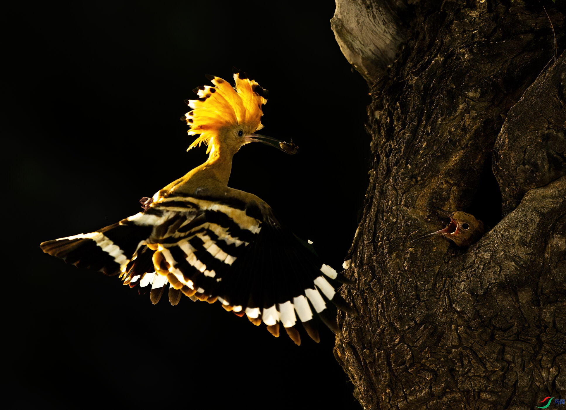 BG5R9139-1(4).jpg
