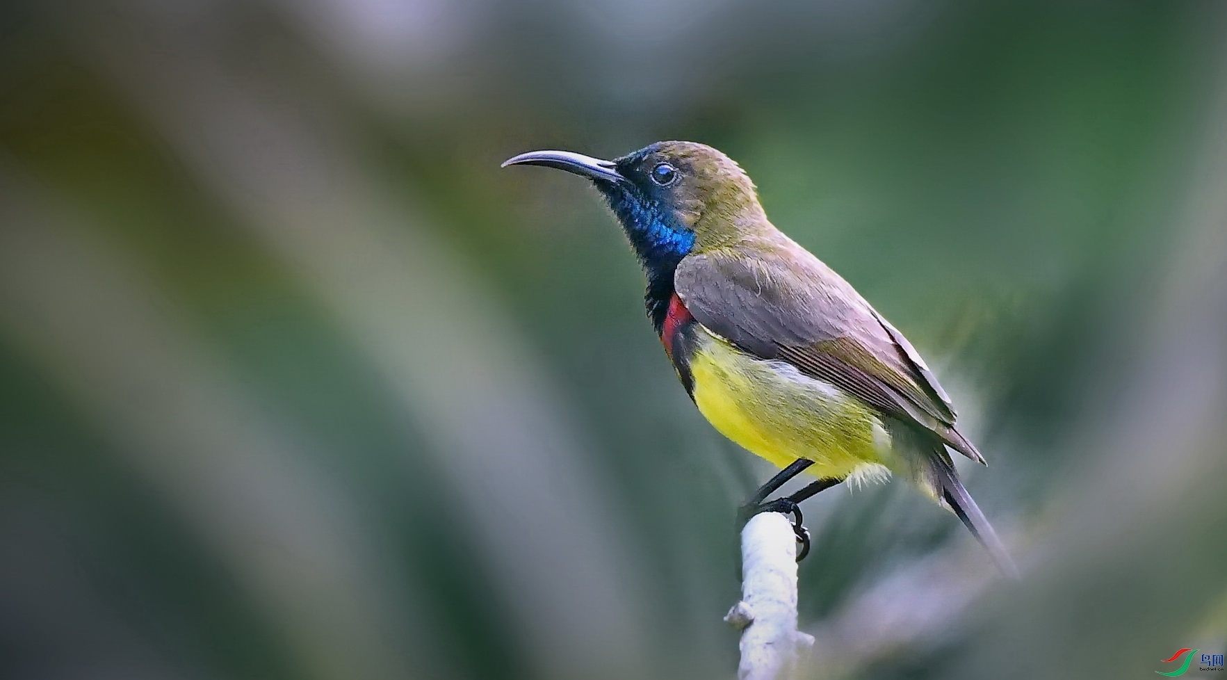 DSC_5710a.jpg