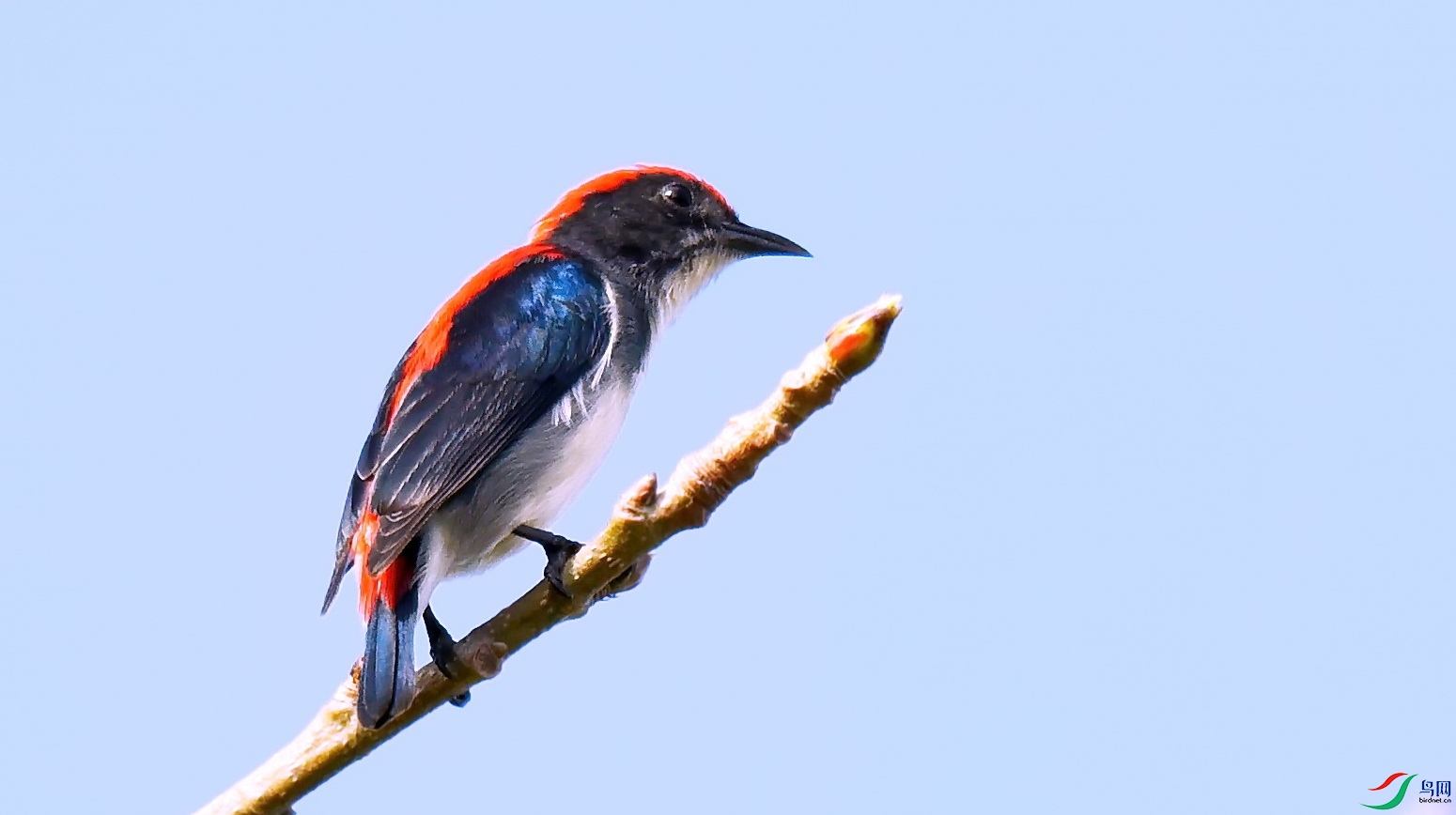 DSC_2161a.jpg