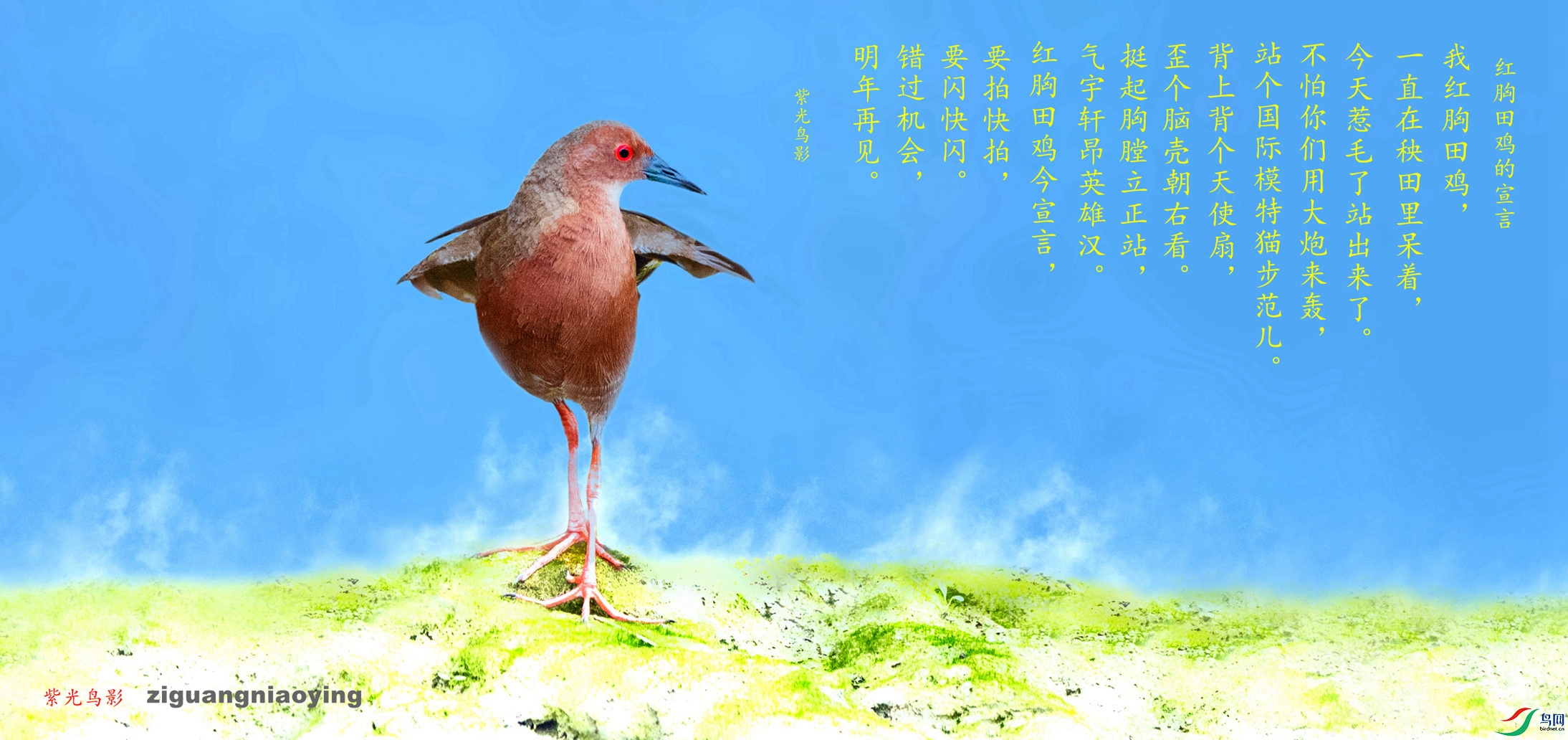 BBA_7734_������������.jpg