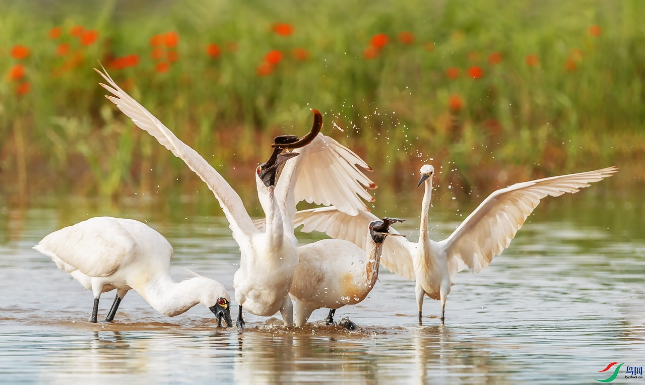 �������������