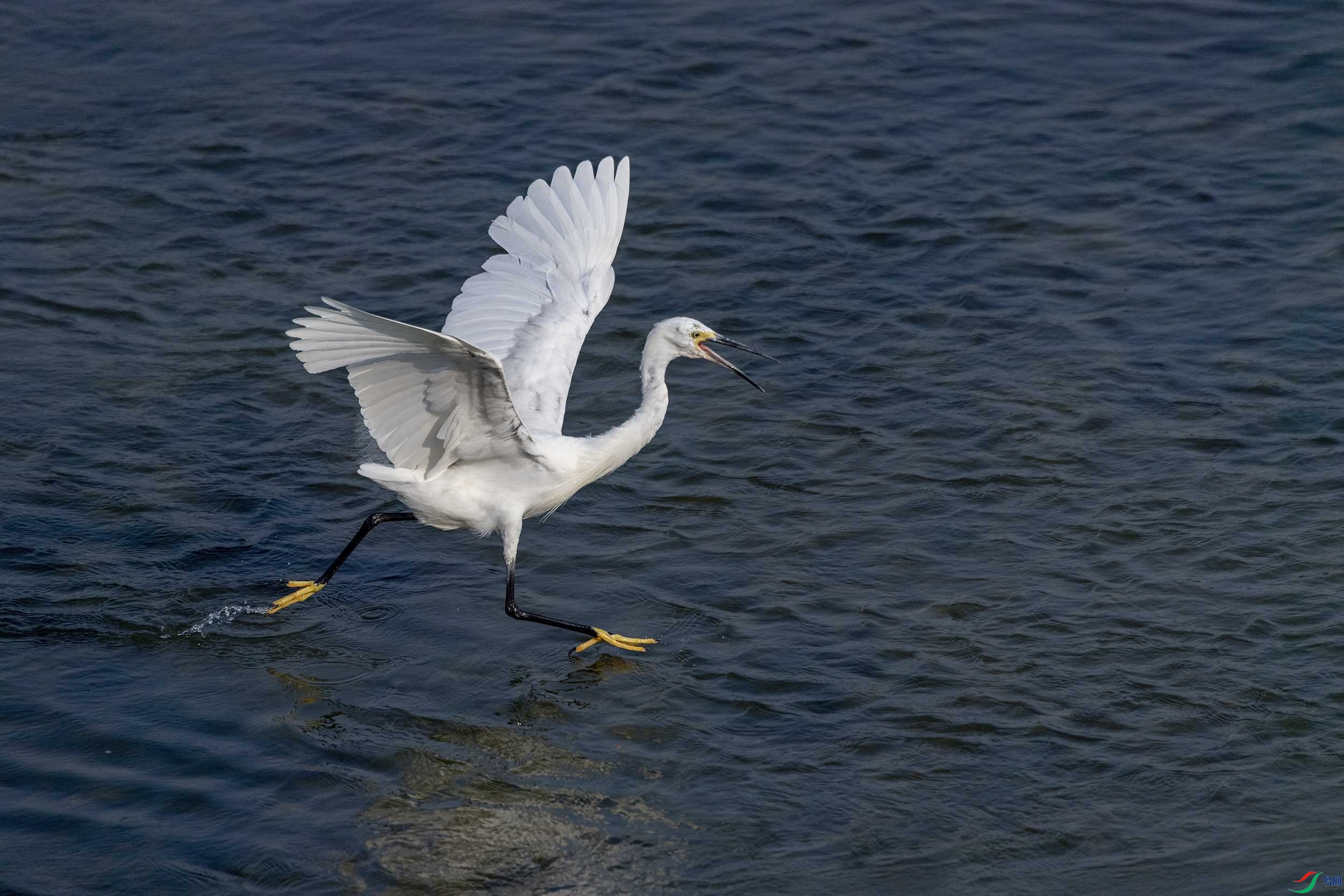 278A7869 ����.jpg