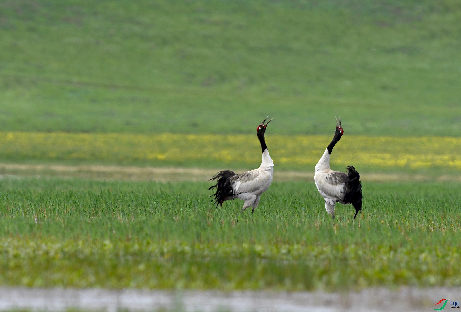 DSC_1372.JPG