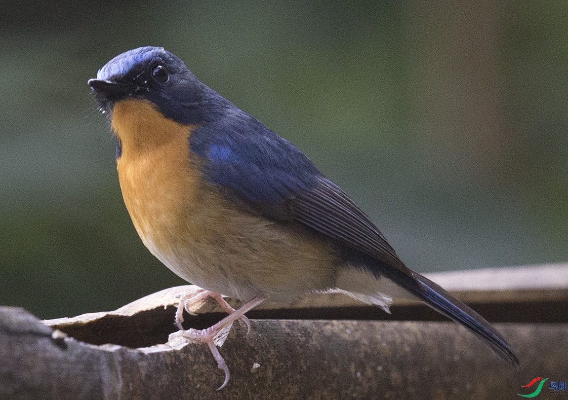 ӯ����ʯ�� (10)����.jpg