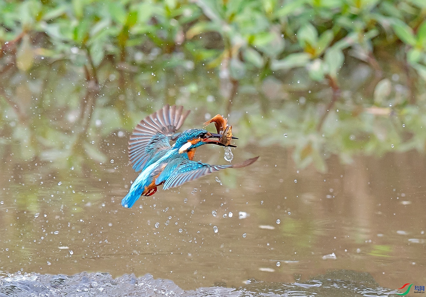 DSC_8131����_����.jpg