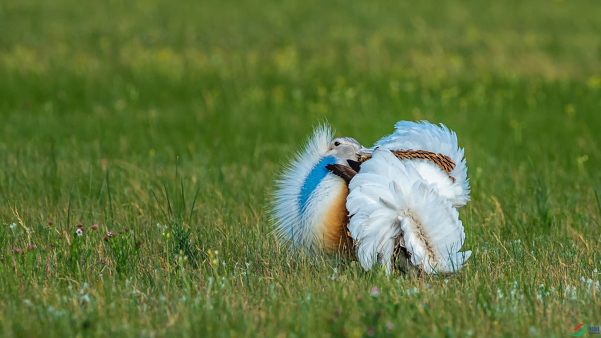 DSC_0838.jpg