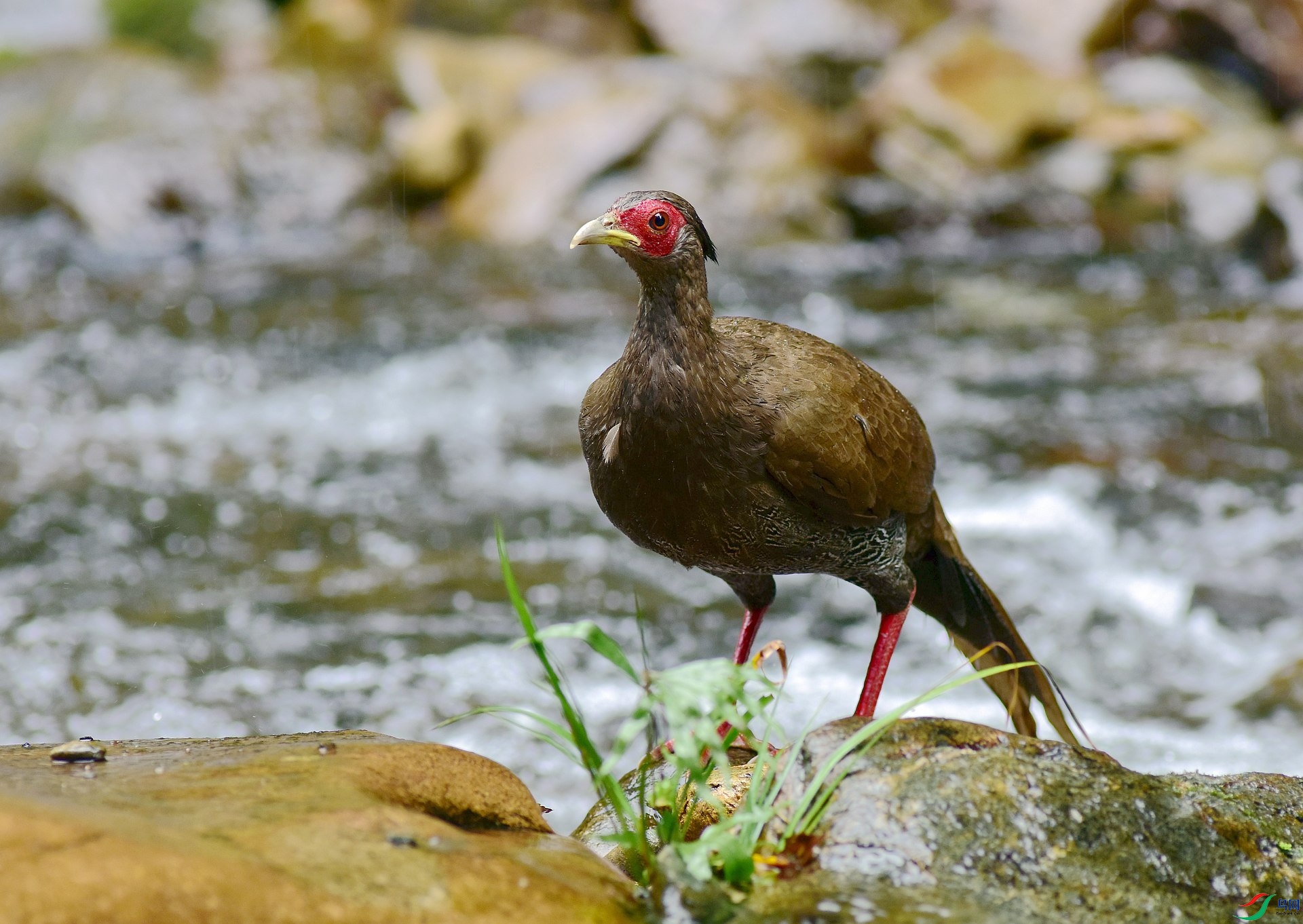 D8I_5478.jpg