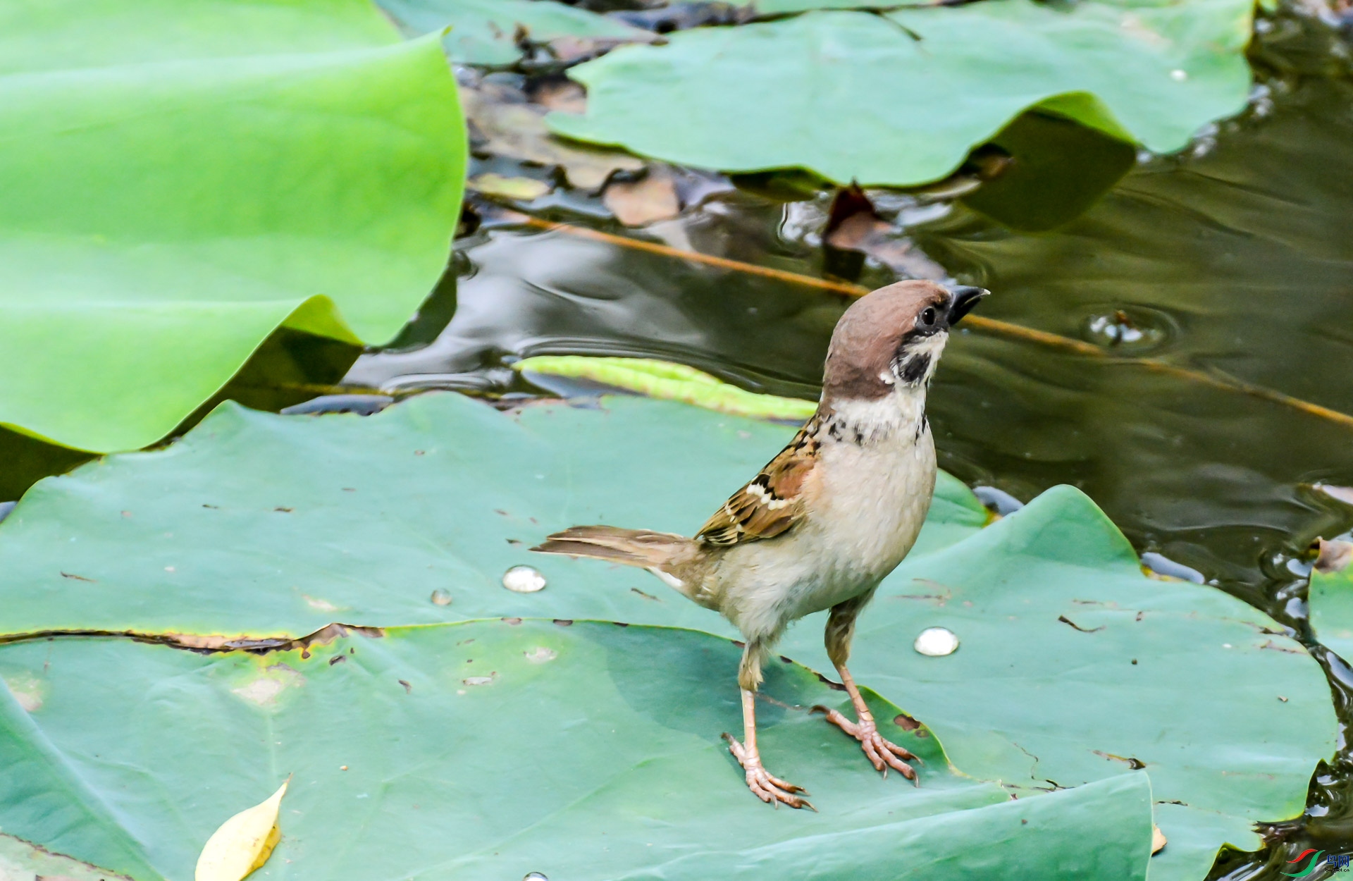 DSC_2856.jpg