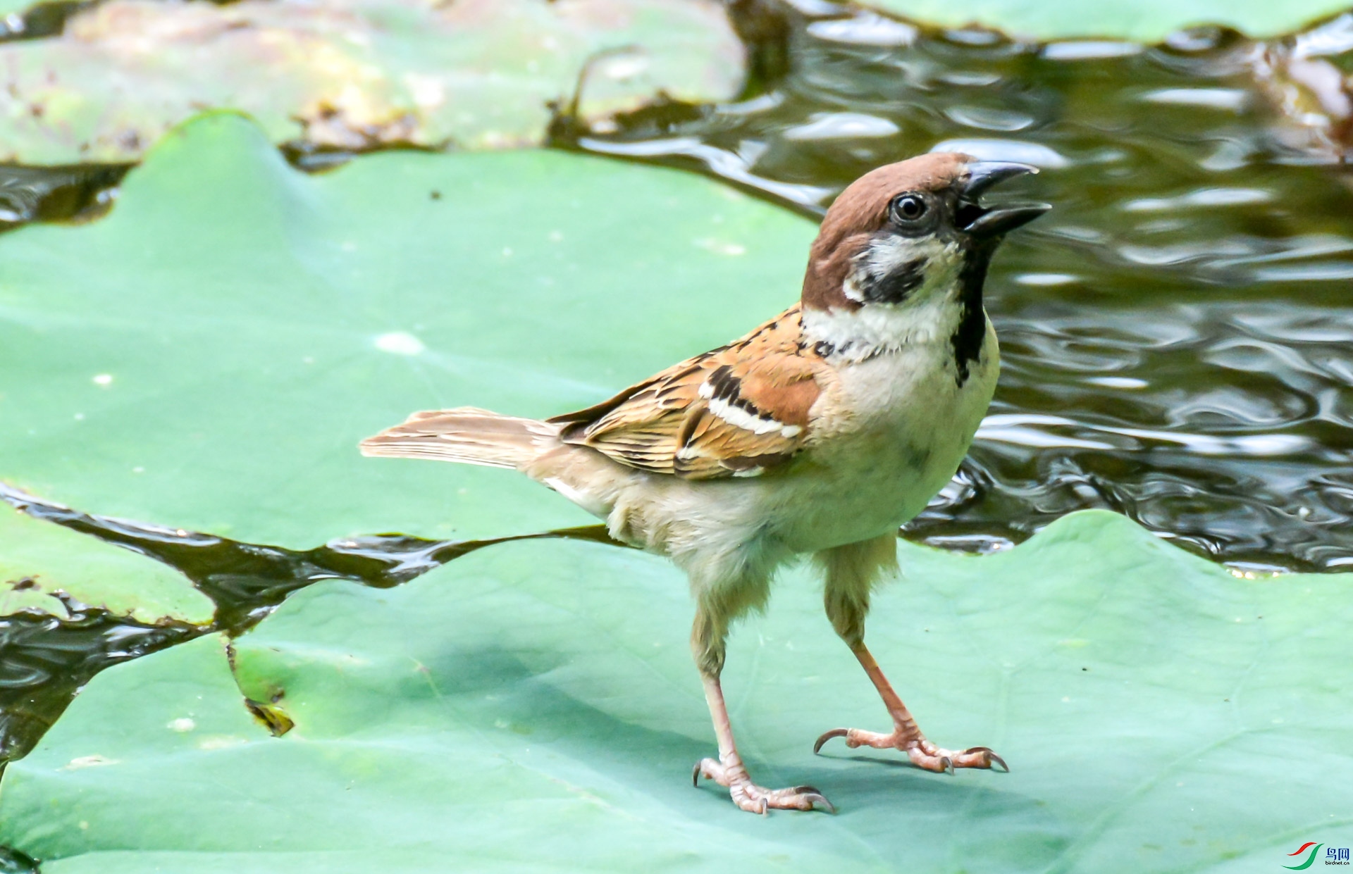 DSC_3430.jpg