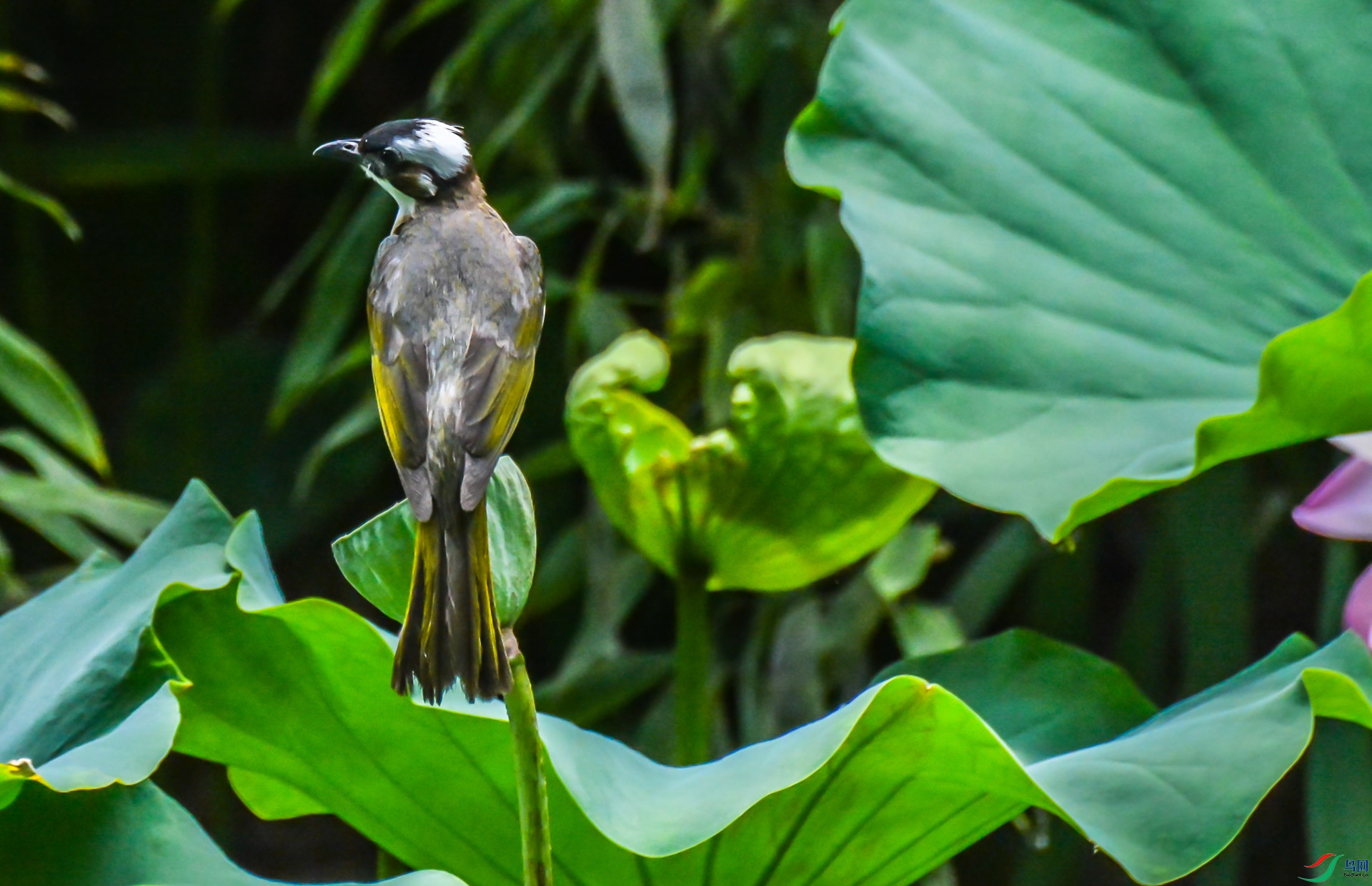 DSC_3518.jpg