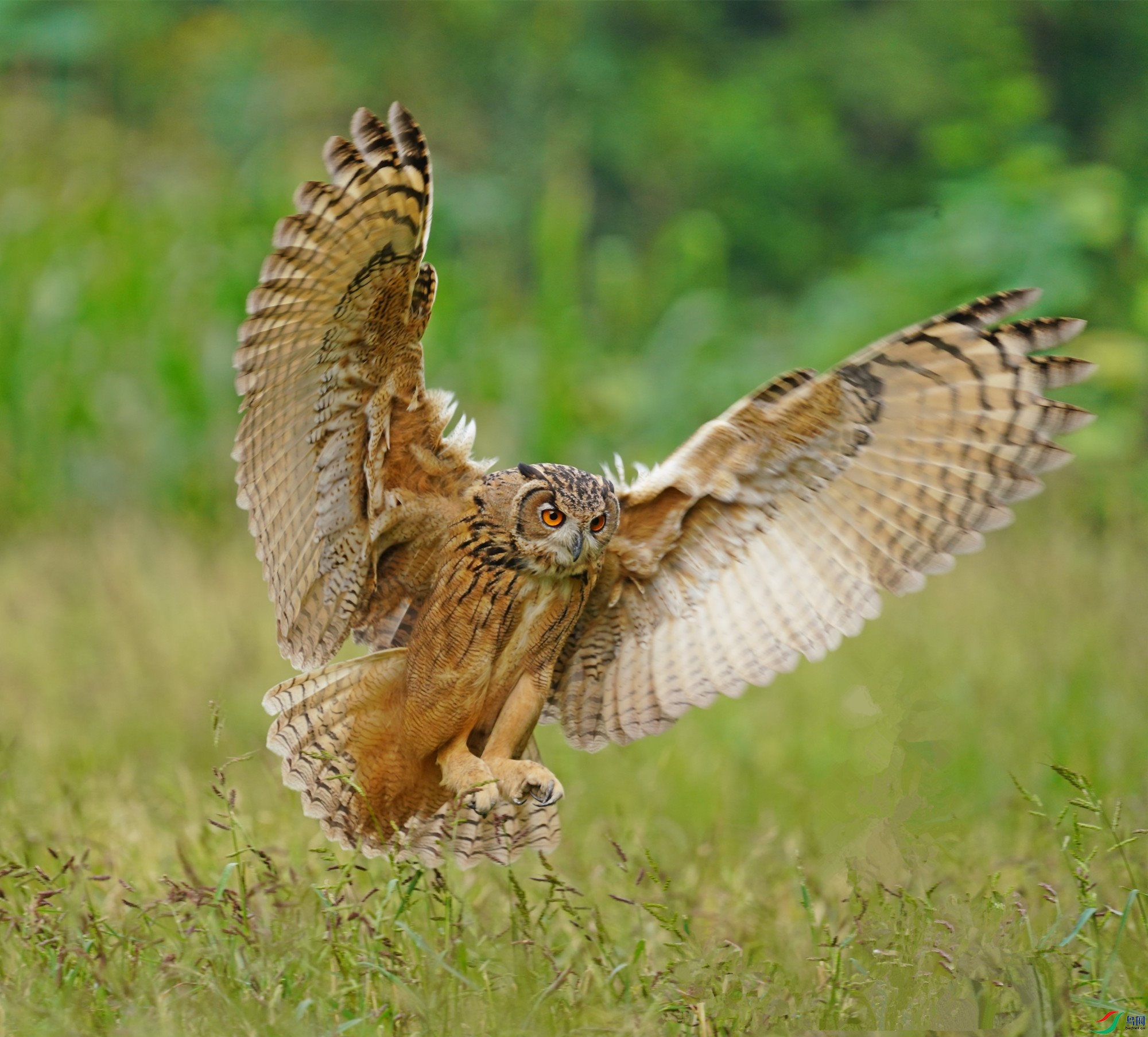 DSC03630_����_����_���� (2).jpg