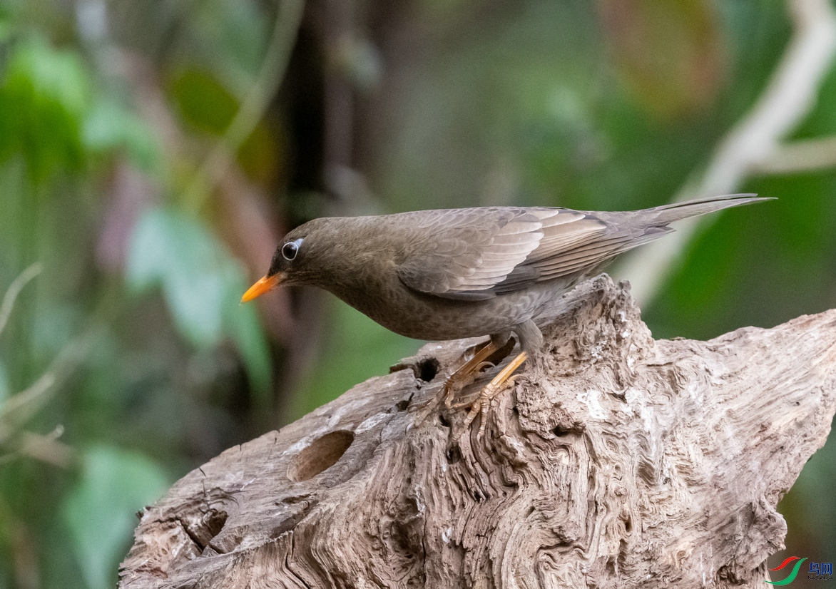 DSC_1216.jpg