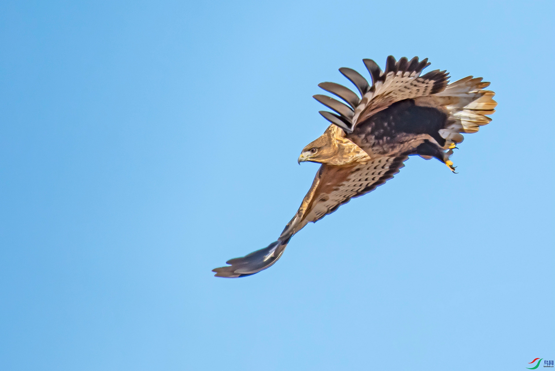 DSC_7220_����.jpg
