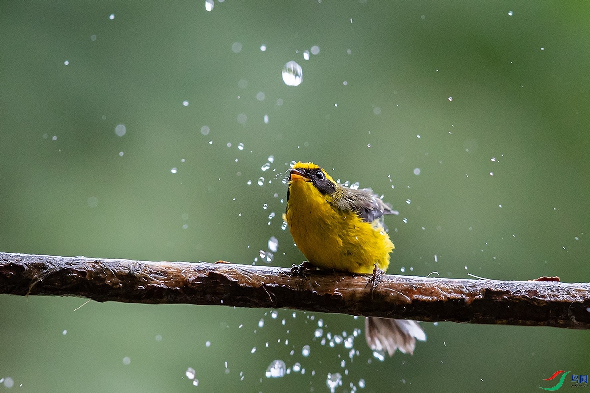 _A2I2027_����.jpg