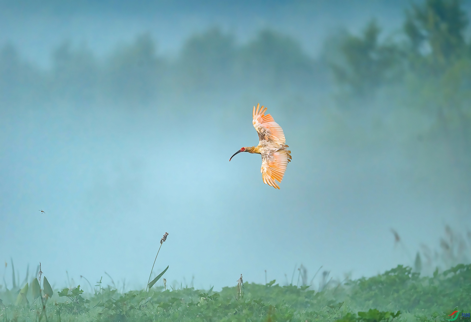 DSC_4293-1.jpg
