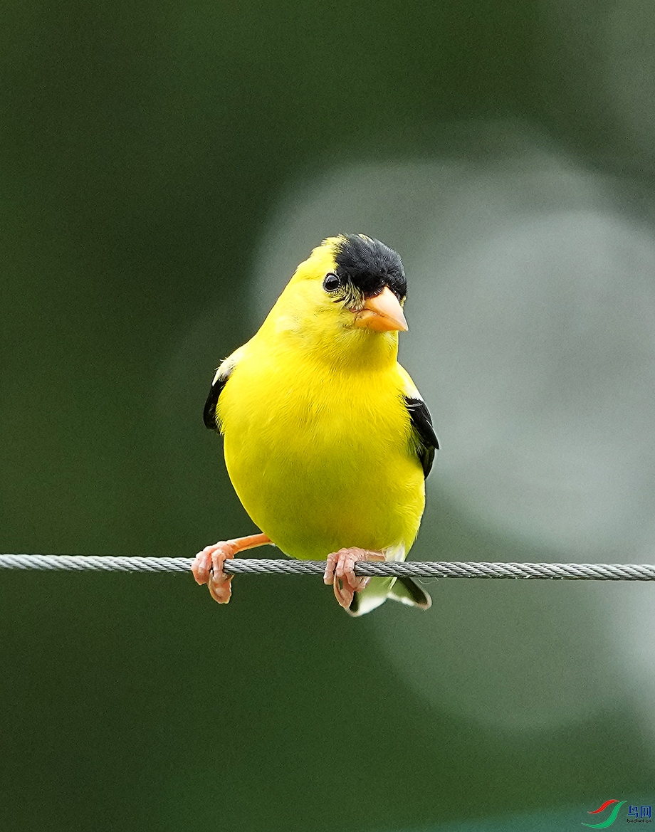 DSD00838----.jpg