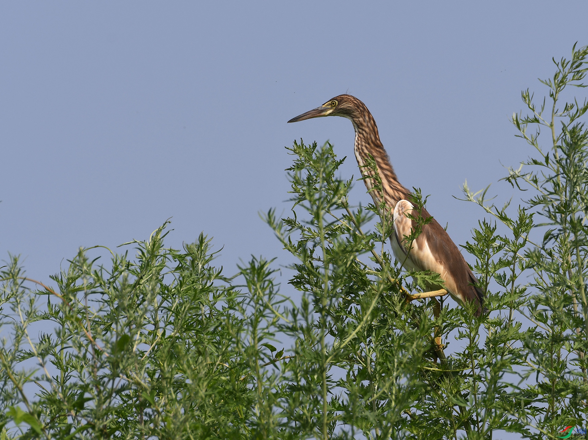 ������Ӱ 1408����.jpg